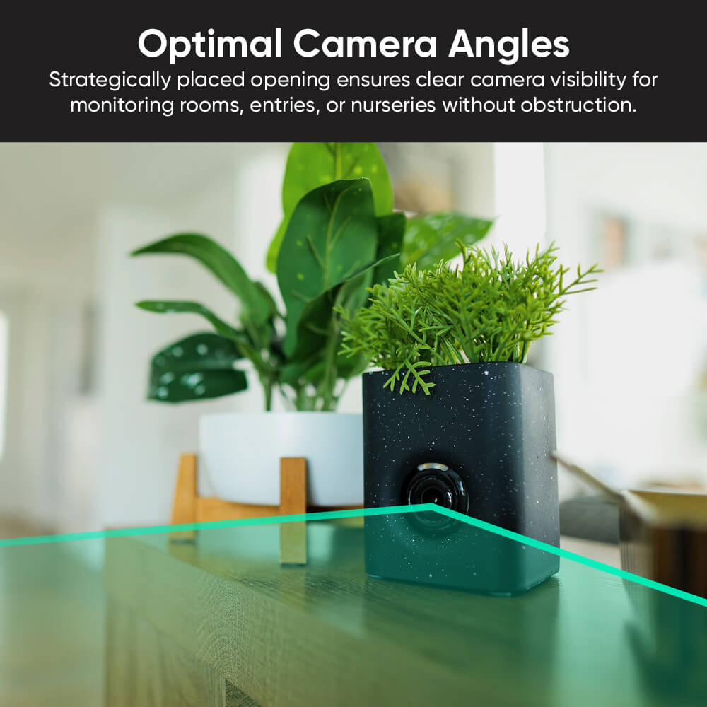 Wyze Cam Vase
