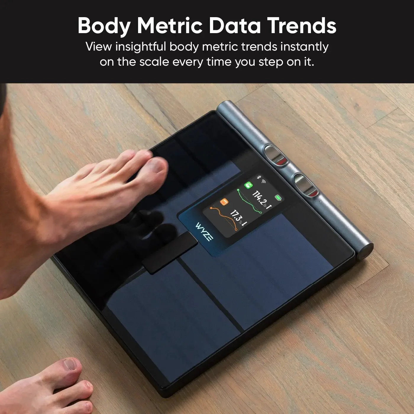 Wyze Scale Ultra BodyScan