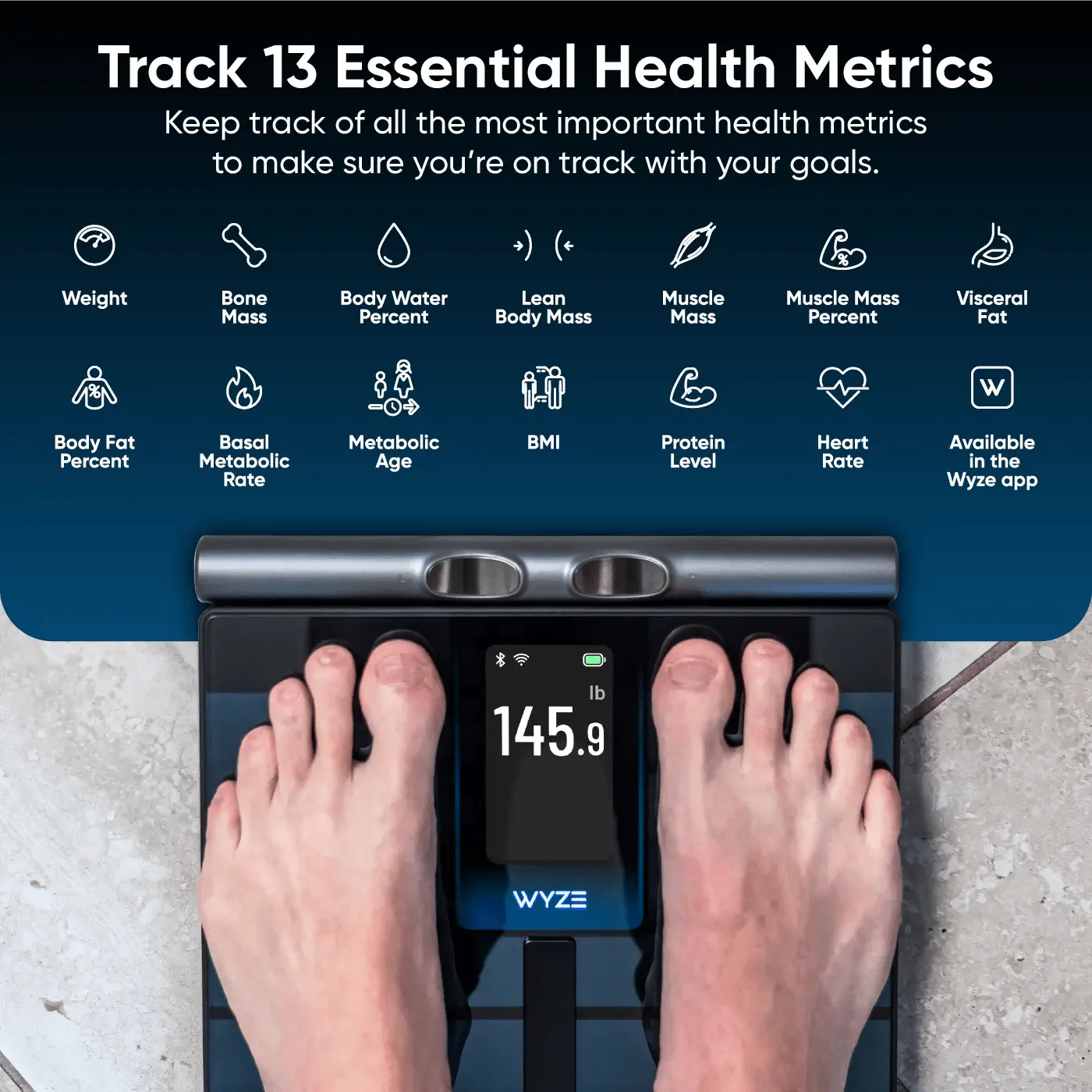 Wyze Scale Ultra BodyScan